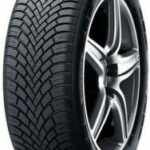 195/65R15 91T Nexen WG SNOW G3 WH21