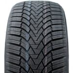 255/40R19 Arivo WINMASTER PROX ARW 3 100H XL